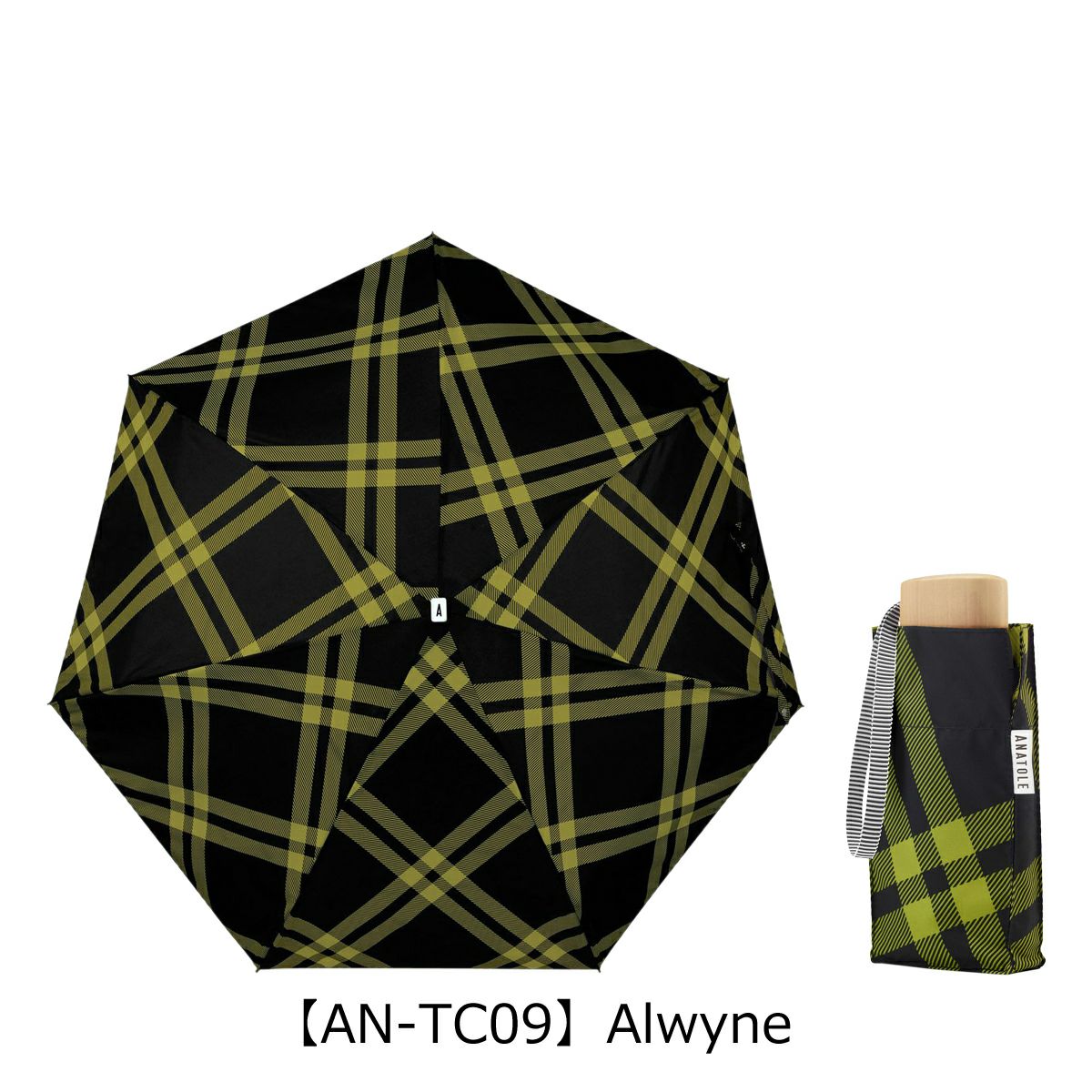 【AN-TC09】Alwyne