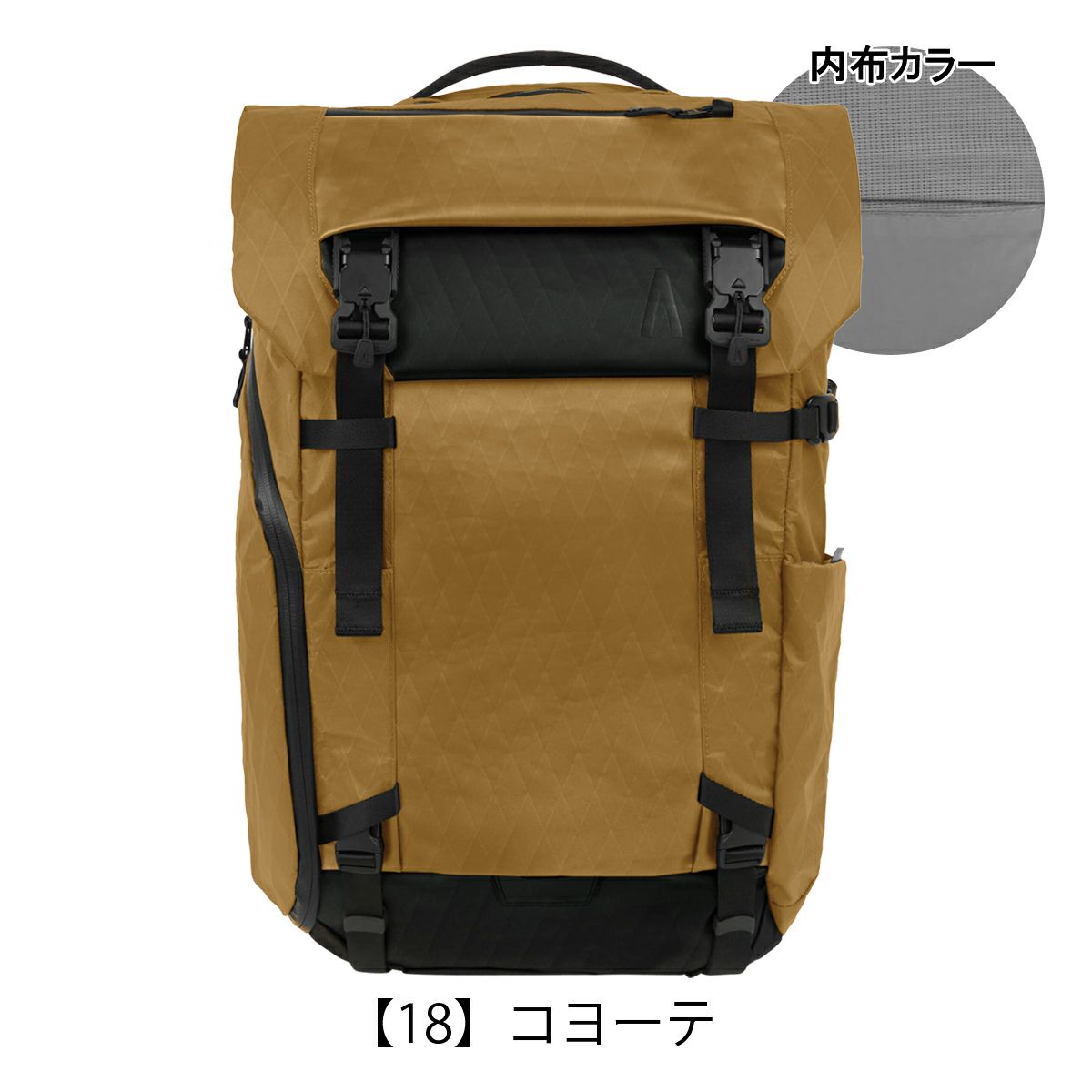 【18】コヨーテ