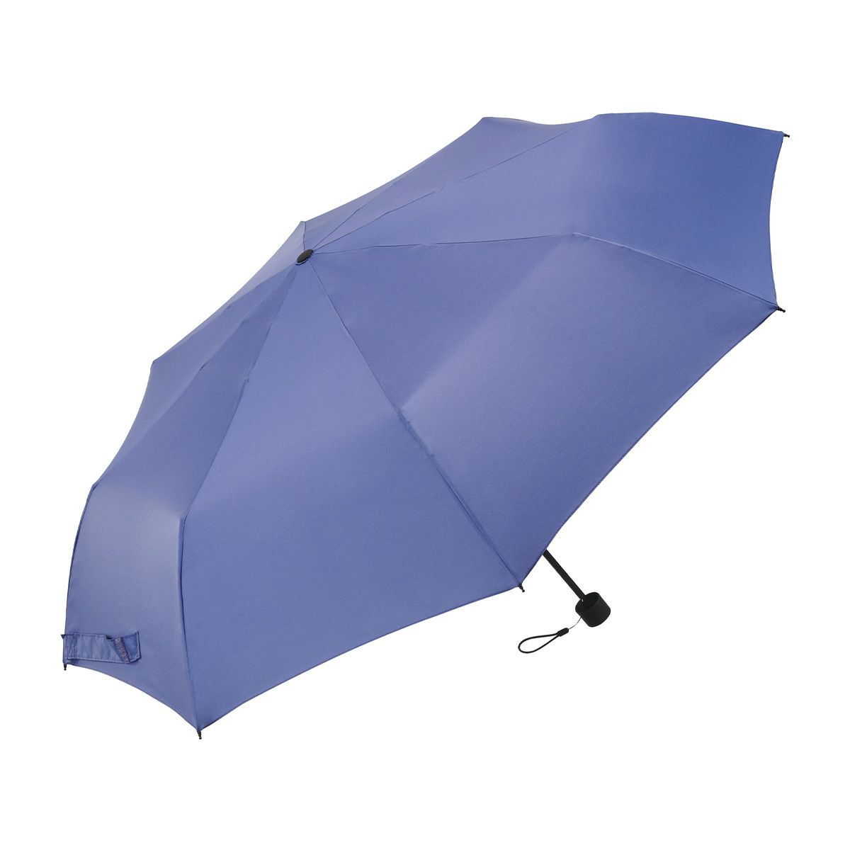 バイオレットブルー