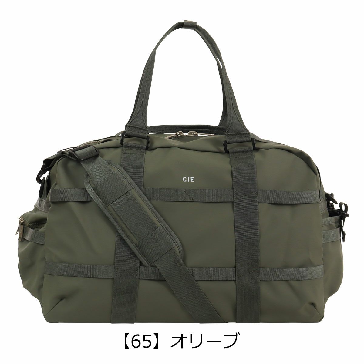 【65】オリーブ