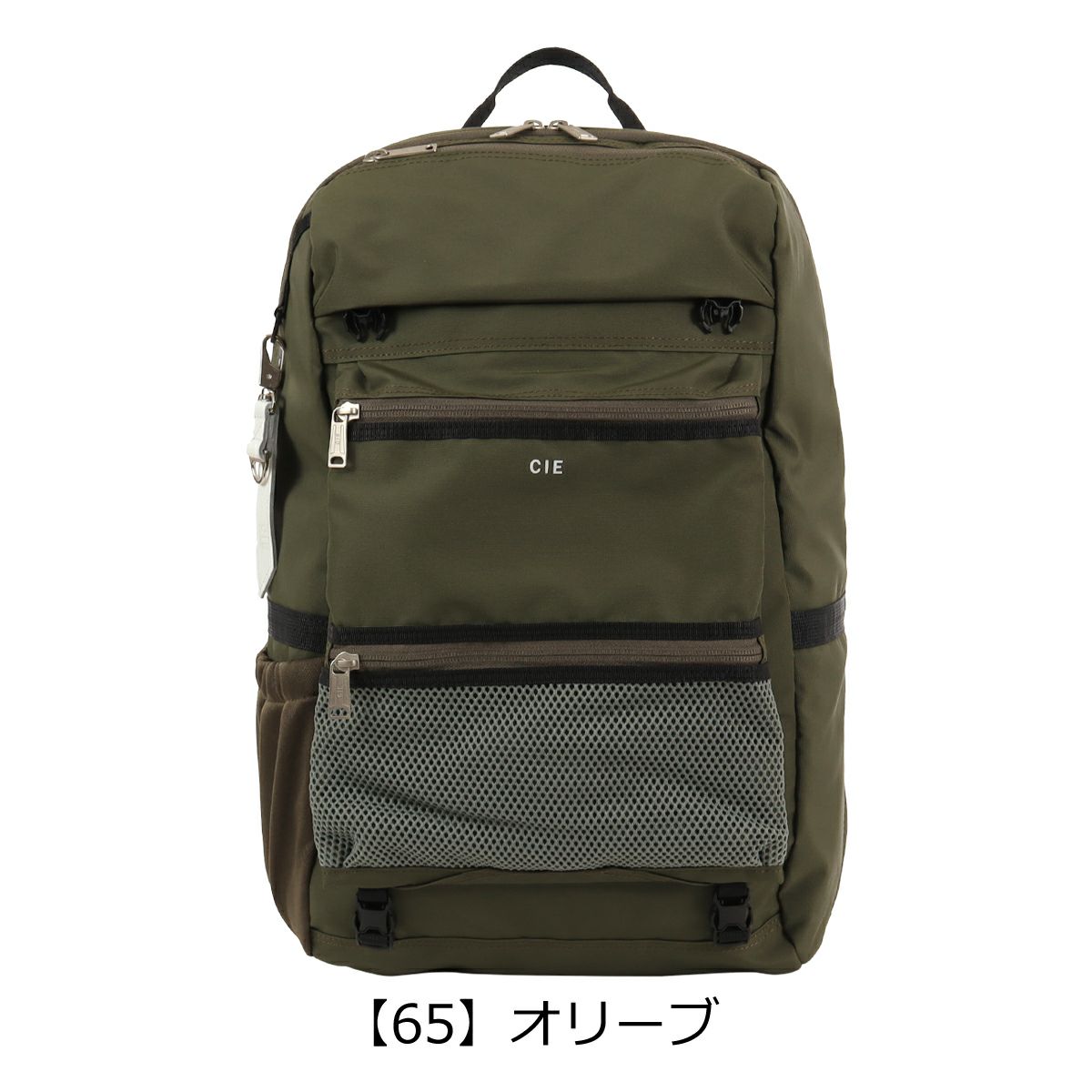 【65】オリーブ