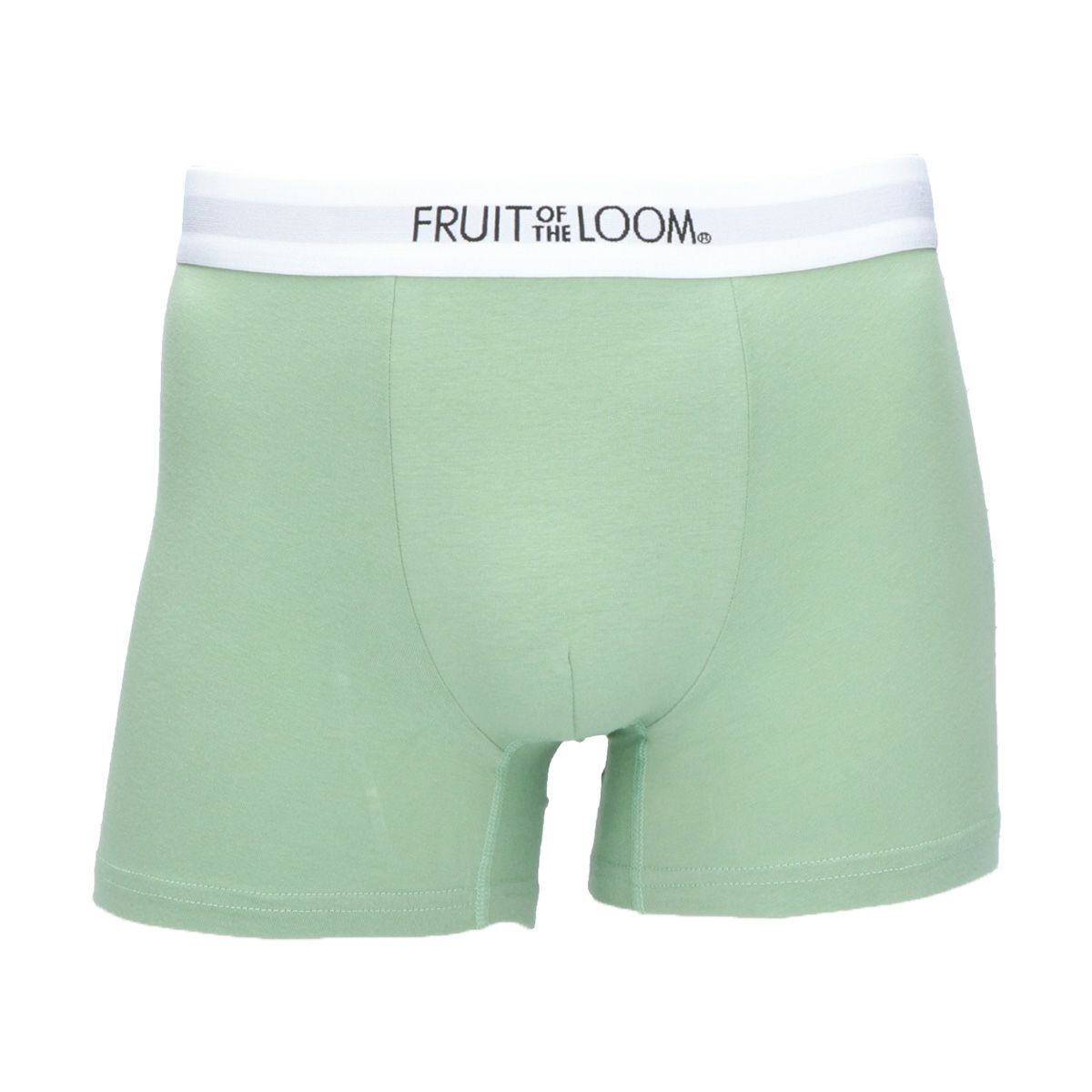 【17】オリーブ