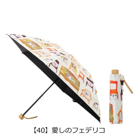【40】愛しのフェデリコ