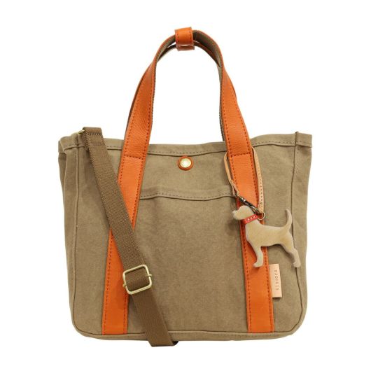 オレンジ（犬）