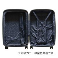 キャリーバッグ　フリクエンター FREQUENTER フリクエンター スーツケース キャリーバッグ TSA