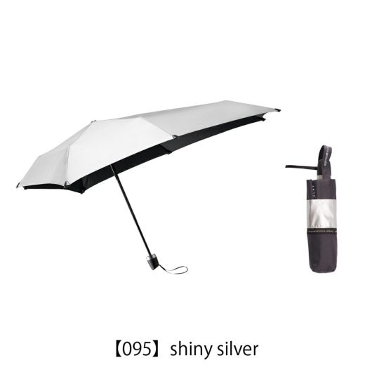 【095】shiny silver