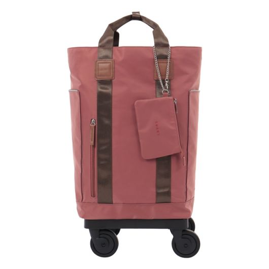 スワニー キャリーバッグ 28L 55cm 2.5kg 当社限定 D-692 SWANY 東京