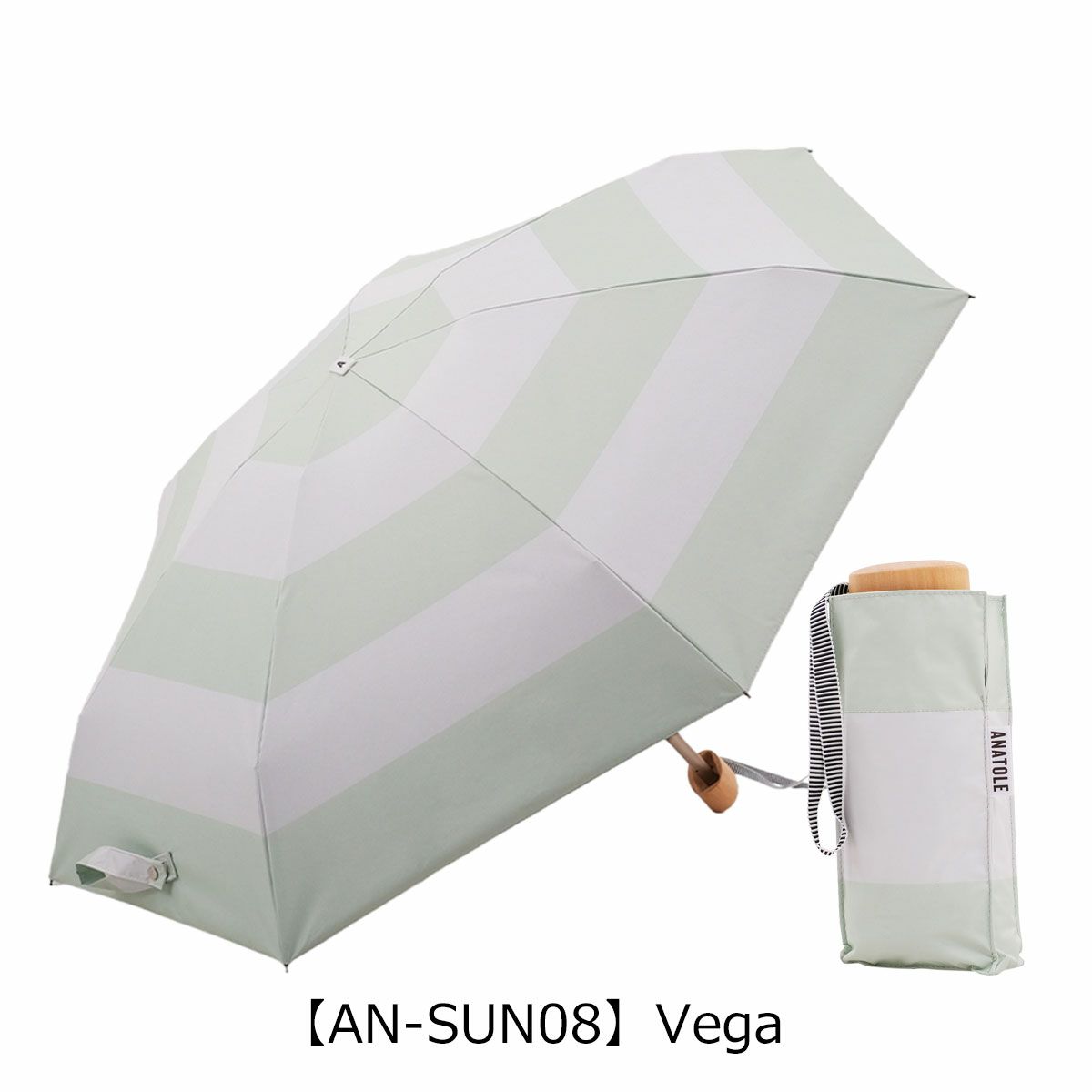【AN-SUN08】Vega