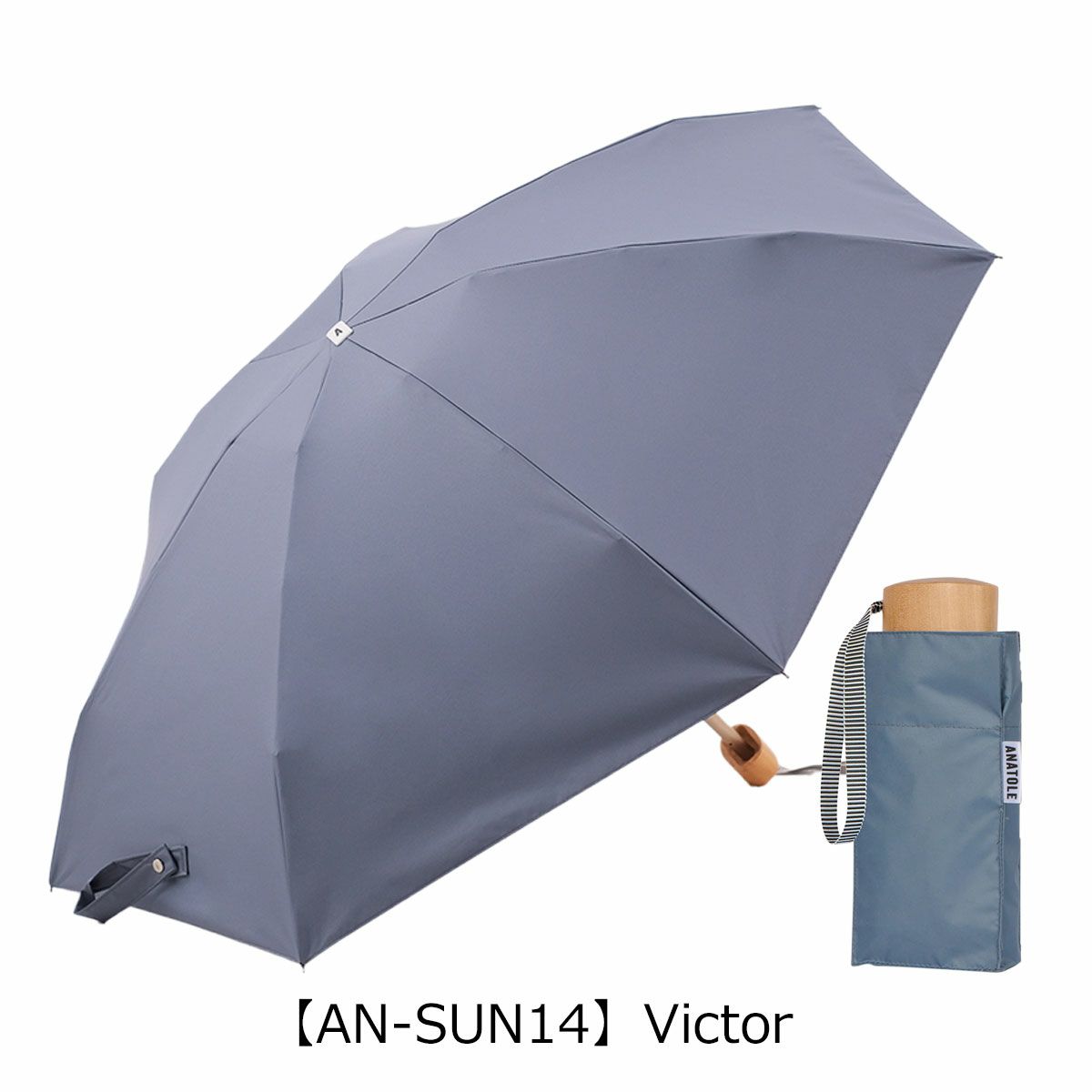 【AN-SUN14】Victor