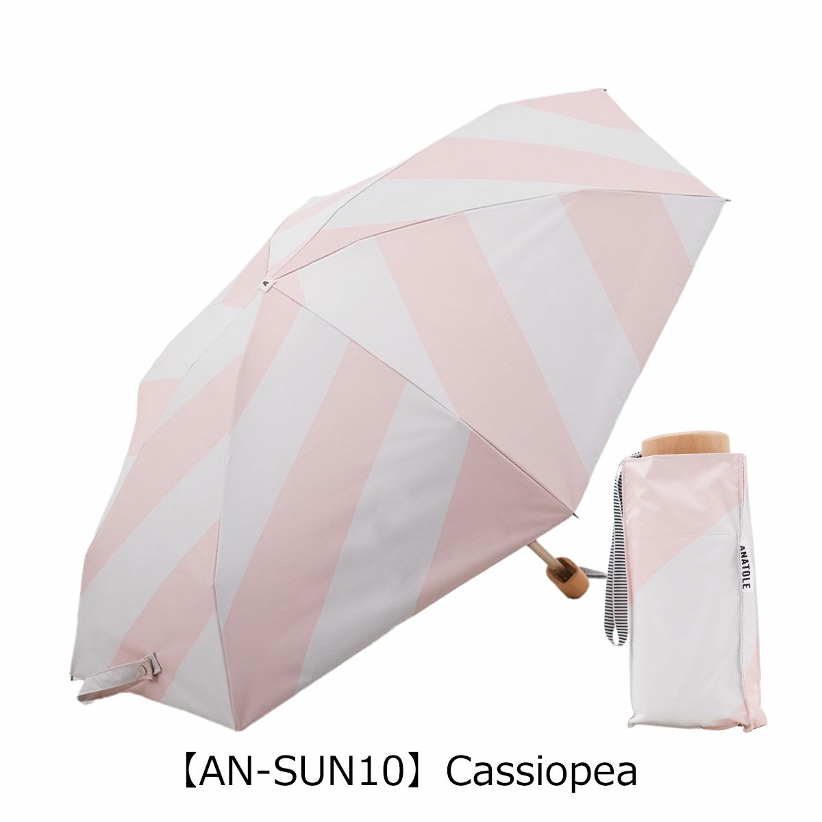 【AN-SUN10】Cassiopea