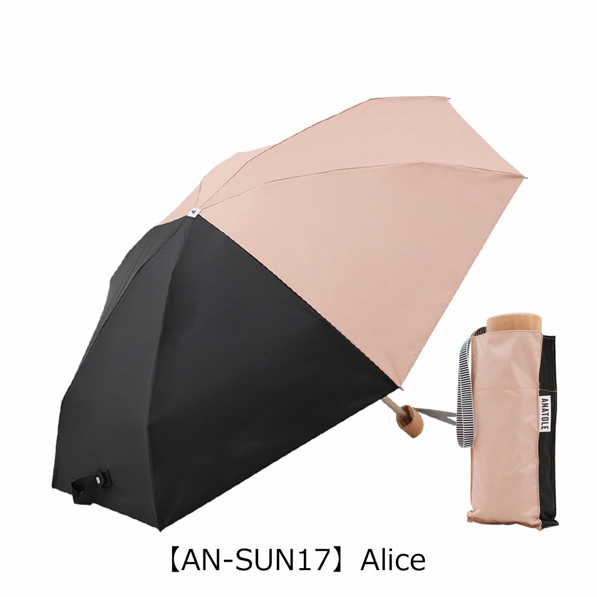 【AN-SUN17】Alice
