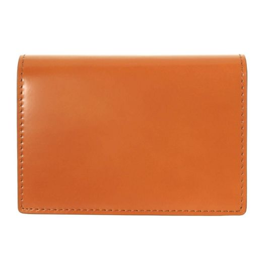 【73】キャメル